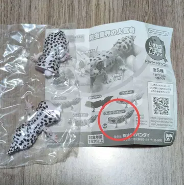 생물대도감 레프티 레오파