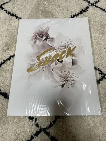 엔드리스 쇼크 2017 1500회 공연