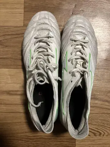모렐리아 네오 3