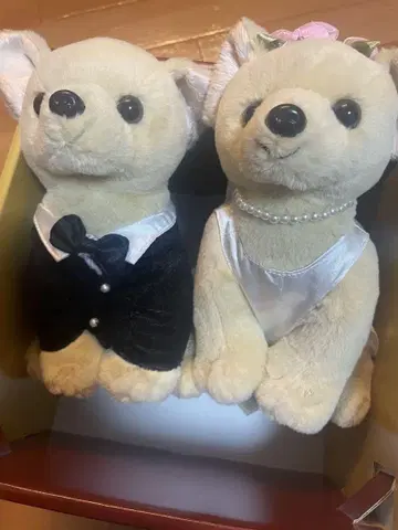 웰컴 스페이스