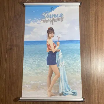 twice 미나 태피스트리