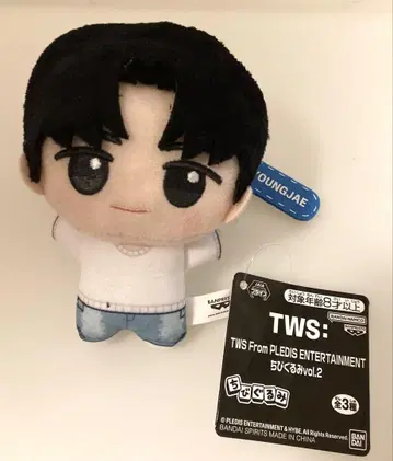 TWS 투아스 SD 인형 용제