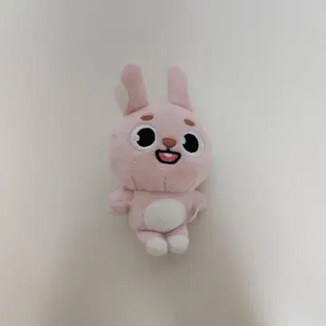 DAY6 원필 PIL 백 참