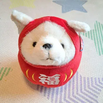 길조 개 달마 봉제 인형 강아지 시바견? 복 달마 화이트 시로