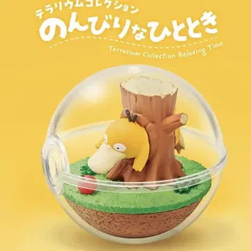 새상품  느긋한 시간 테라리움 컬렉션 코닥