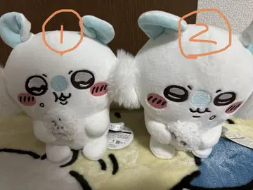 치이카와 모몽가 모구모구 봉제 인형