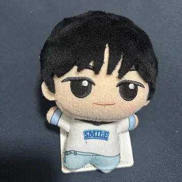 TWS From PLEDIS ENTERTAINMENT SD 인형 도훈