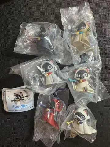 시냐 신 씨 전 6종 컴플리트 세트