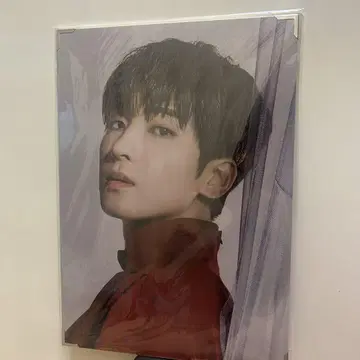 SEVENTEEN 원우 power of love 프리미엄 사진
