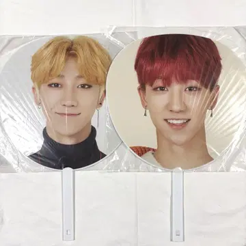 SEVENTEEN 세부치 THE8 민하오 부채