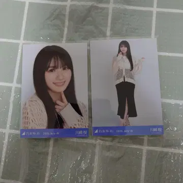 노기자카46 브로마이드 카와사키 사쿠라 메쉬 니트