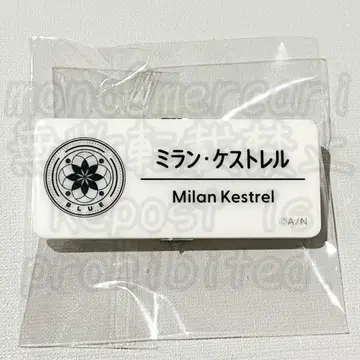 니지산지 밀라노 케스트렐 니지 페스티벌 2025 네임 배지