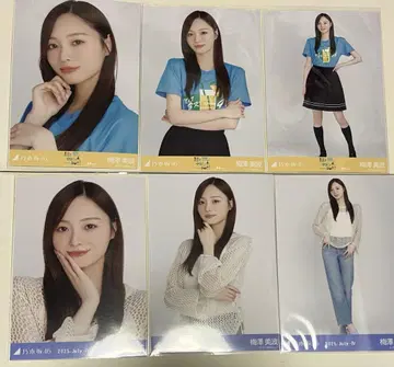 우메자와 미나미 브로마이드
