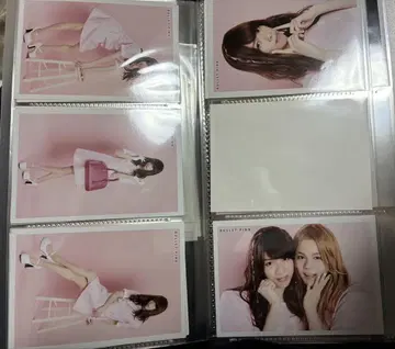 초특급 브로마이드 바레피 료가