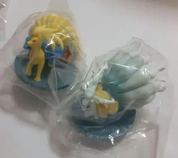 백포켓몬 야행 큐콘 애로우라 큐콘 포켓몬
