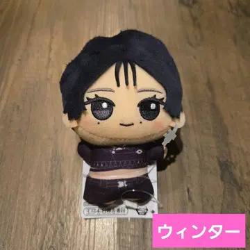 aespa SD 인형 윈터