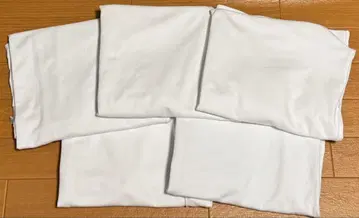 지유 드라이 분또 T 화이트 M 사이즈 5장