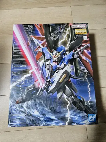 데스티니 건담 MG 1/100