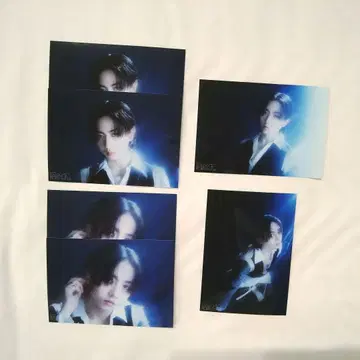 서파급 브로마이드 나가노 료타