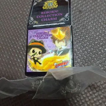 가정교사 히트맨 리본 컬렉션 참 봉고레 반지 오조라 구름