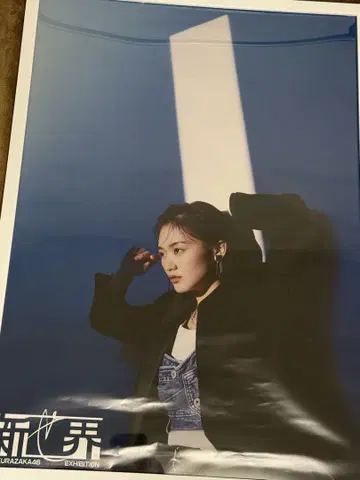 사쿠라자카 신세카이 포스터 A2 사이즈 야마자키 텐