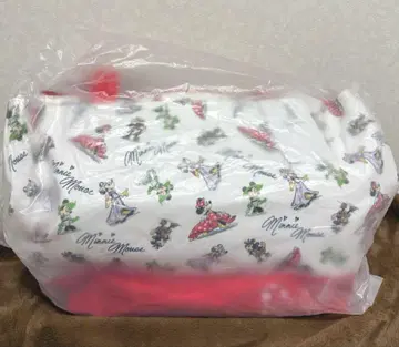 미니 스타일 스튜디오 토트백 카메라백 백