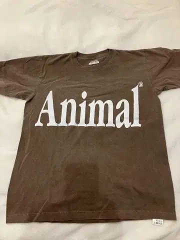 FRAMeWORK STUDIO WEAREALLANIMALS 별주