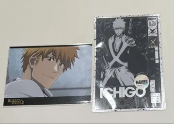 BLEACH WORLD 텐보 파크 입장 혜택 클리어 카드 쿠로사키 이치고