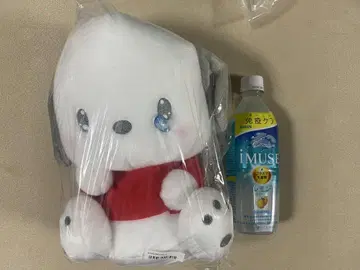 미사용 새상품 포차코 숏보리 아메모요 봉제 인형