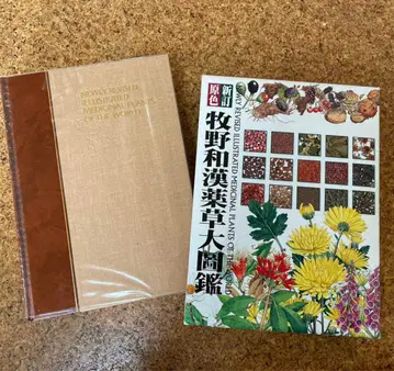 원색 마키노 한방 약초 대백과