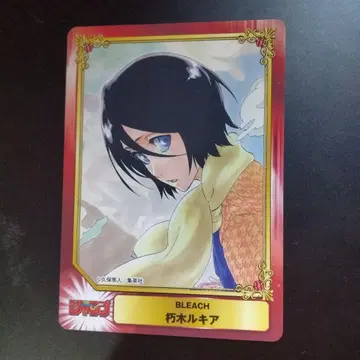초레어 BLEACH 슈에이샤 코미페스티벌 후목 루키아