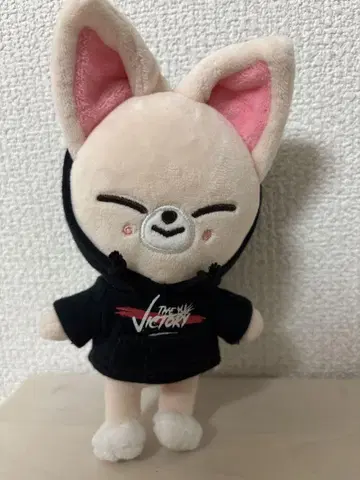 straykids FoxNly 봉제 인형 미니