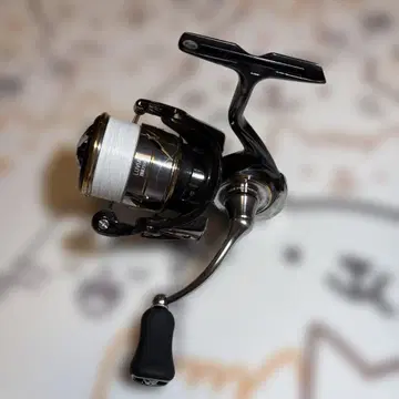 20 루비아스 FCLT2500S