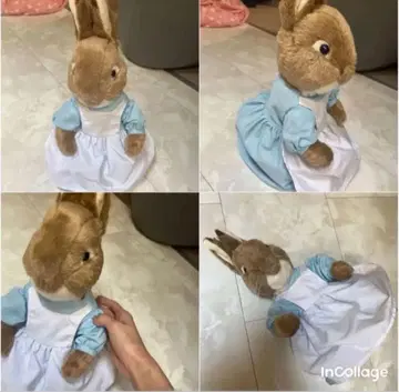 피터 토끼/봉제 인형