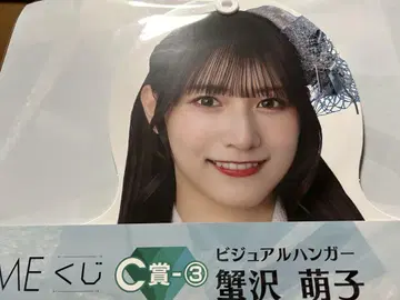 비주얼 행거 C상 카니사와 모에코