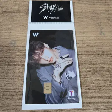WOWPASS 스트레이 키즈 방찬 Bang Chan