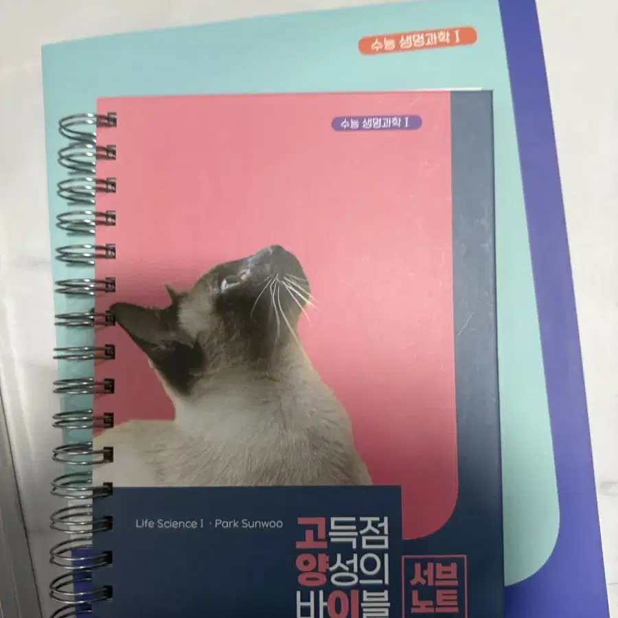 Park Sunwoo's high score training bible (cat) on Bunjang