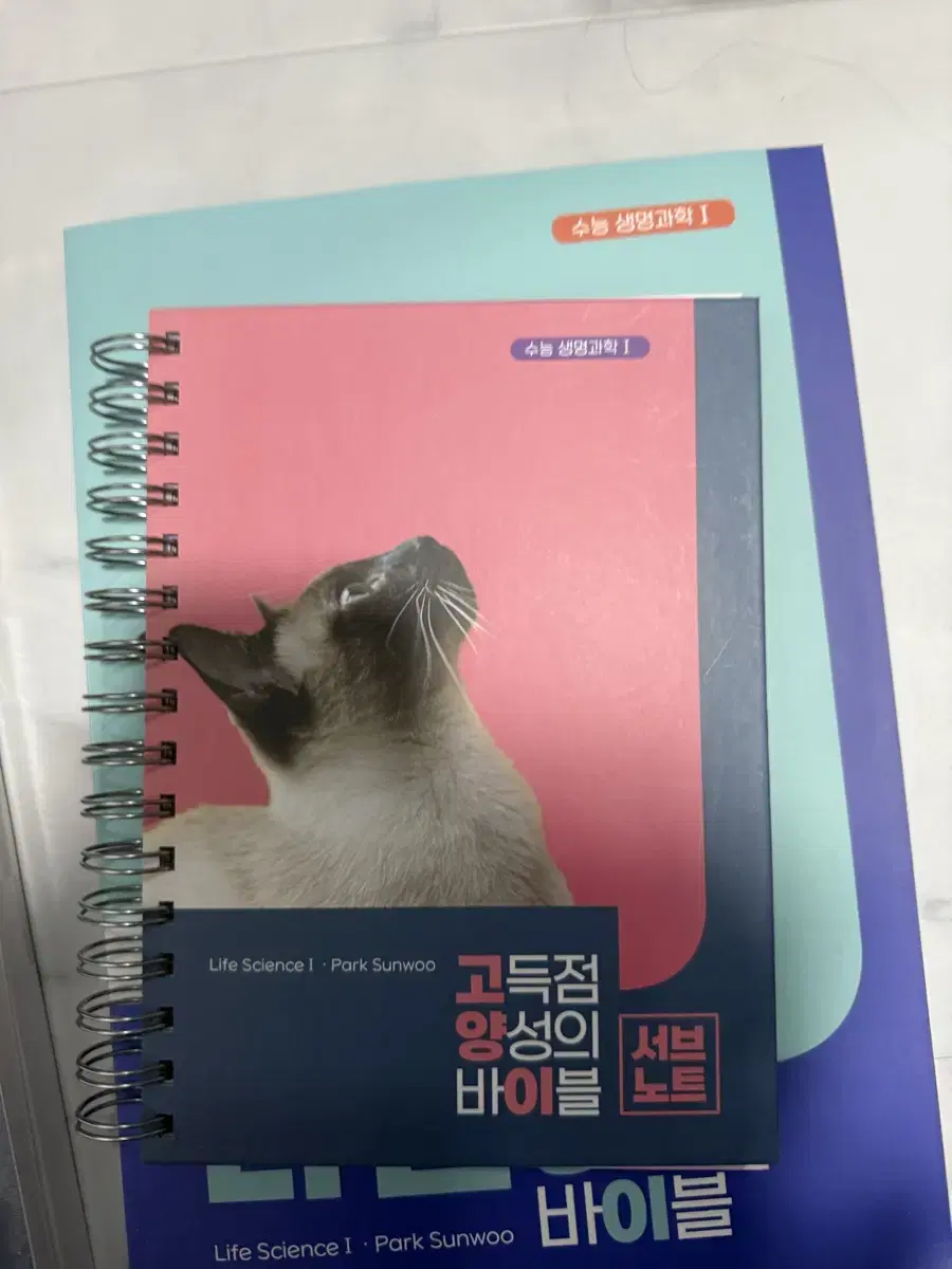 Product Details - 1