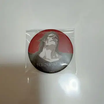 BLEACH 매트 캔뱃지 컬렉션 카라키 켄파치