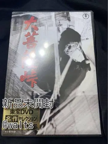 대보살 고개 DVD