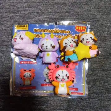 라스칼 마그넷 코코스 별자리
