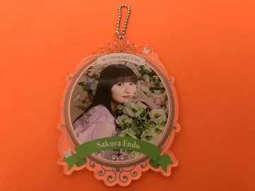 엔도 사쿠라 노기자카46 한여름의 전국 투어 A상 아크릴 키링