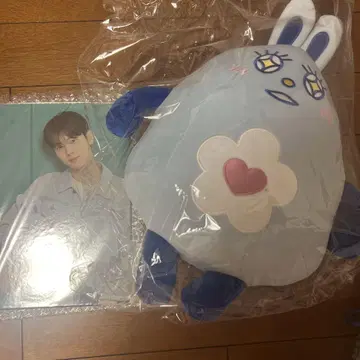 ASTRO 우누 누누 30cm 봉제 인형