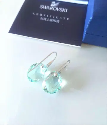 새상품 SWAROVSKI Galet 드롭 귀걸이 스와로브스키 그린