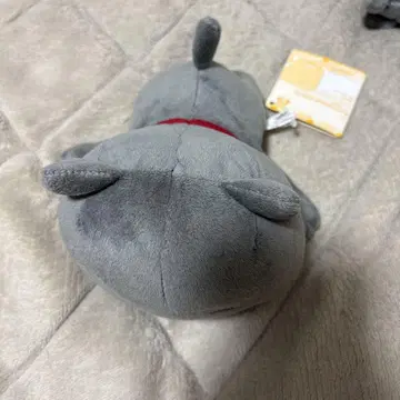 니시무라 유우지 악의 고양이 봉제 인형