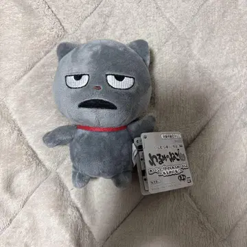 니시무라 유우지 악의 고양이 봉제 인형