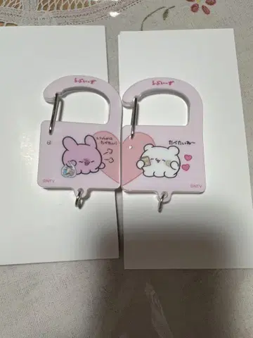 라부이즈 아크릴 카라비너