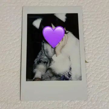 라부시쿠 유손 폴라로이드