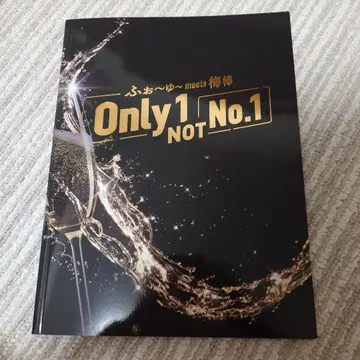 후오유~ meets 매실봉 Only1 NOT No.1 팜플렛