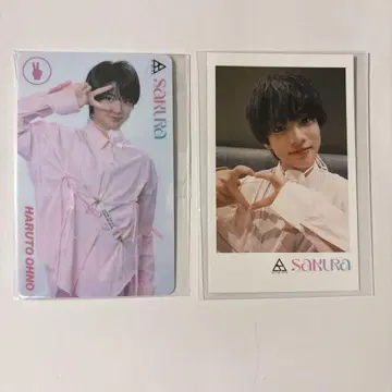오노 요토 M 카드